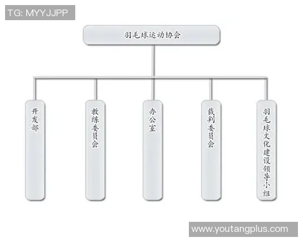 杭州羽毛球队战术解析与运营体系探讨助力羽毛球发展